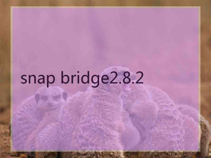 snap bridge2.8.2