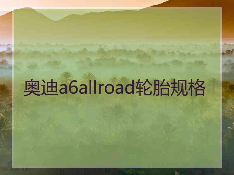 奥迪a6allroad轮胎规格