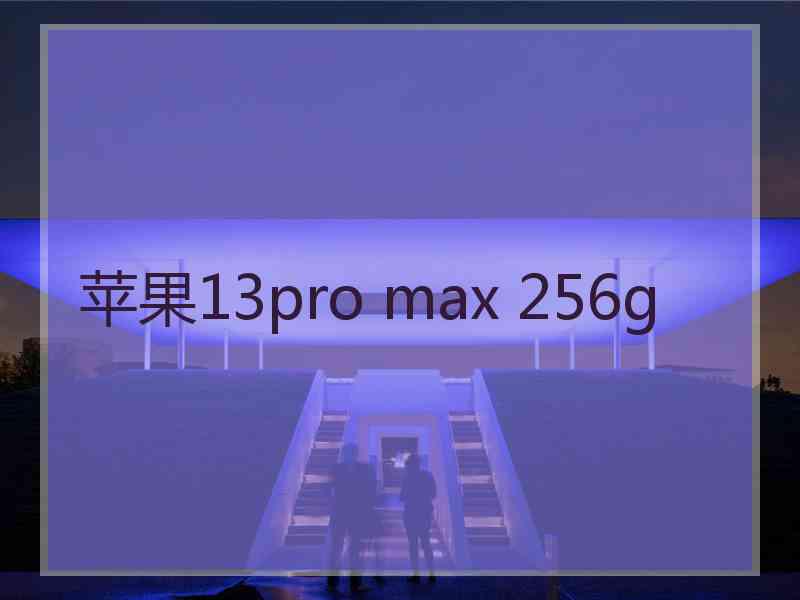 苹果13pro max 256g