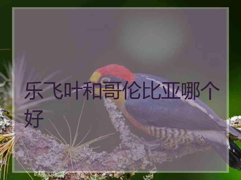 乐飞叶和哥伦比亚哪个好