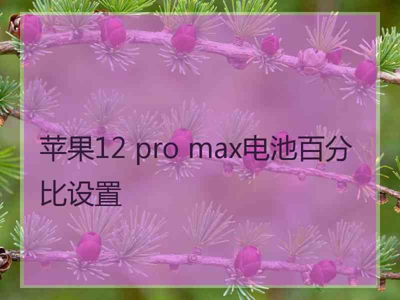 苹果12 pro max电池百分比设置