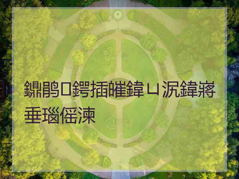 鐤鹃鍔插皠鍏ㄩ泦鍏嶈垂瑙傜湅