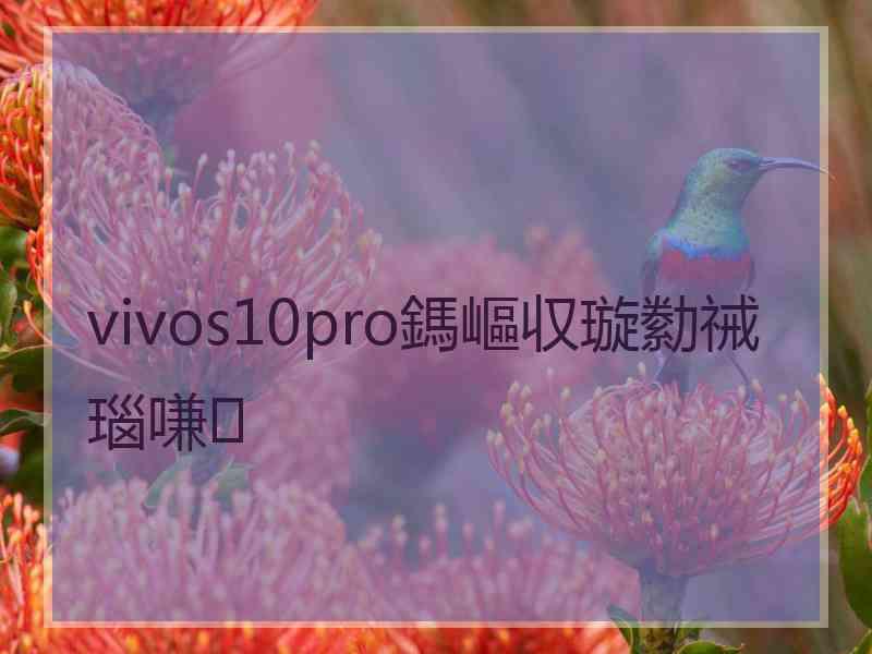 vivos10pro鎷嶇収璇勬祴瑙嗛