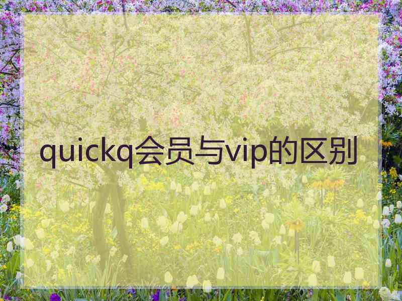 quickq会员与vip的区别