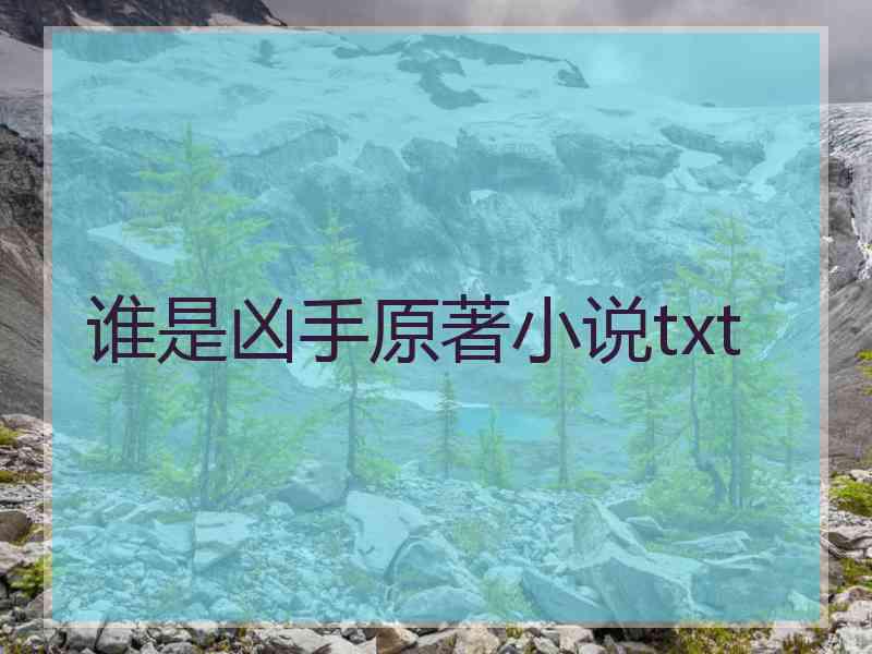 谁是凶手原著小说txt