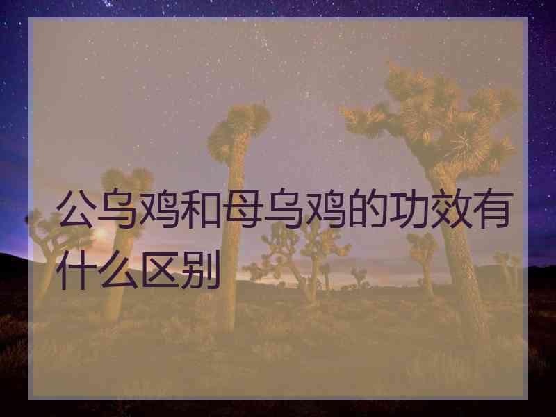 公乌鸡和母乌鸡的功效有什么区别