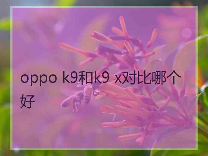 oppo k9和k9 x对比哪个好