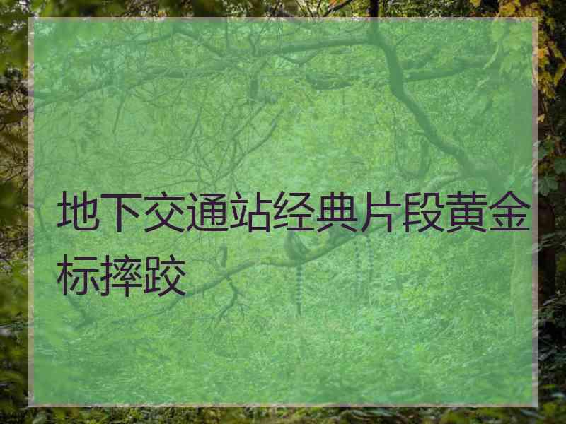 地下交通站经典片段黄金标摔跤