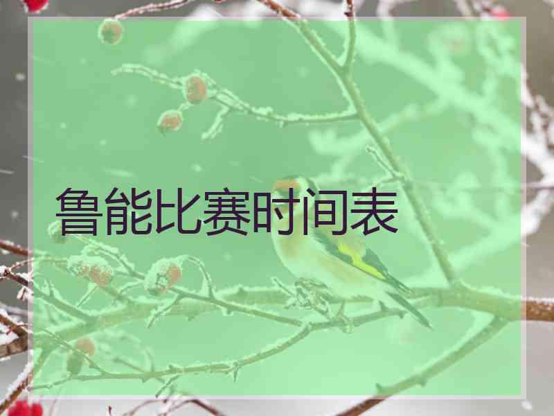 鲁能比赛时间表