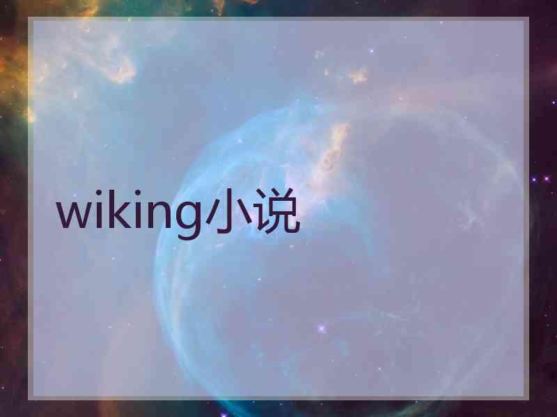 wiking小说