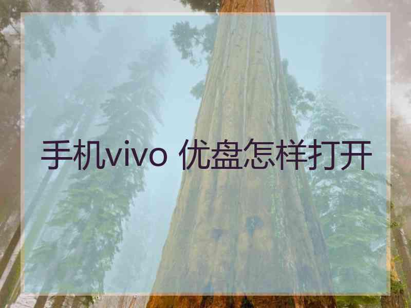 手机vivo 优盘怎样打开