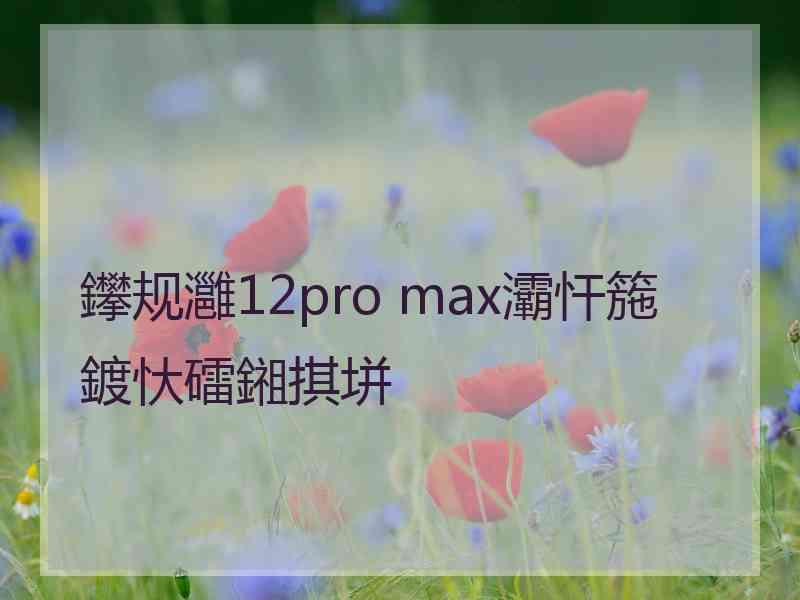 鑻规灉12pro max灞忓箷鍍忕礌鎺掑垪