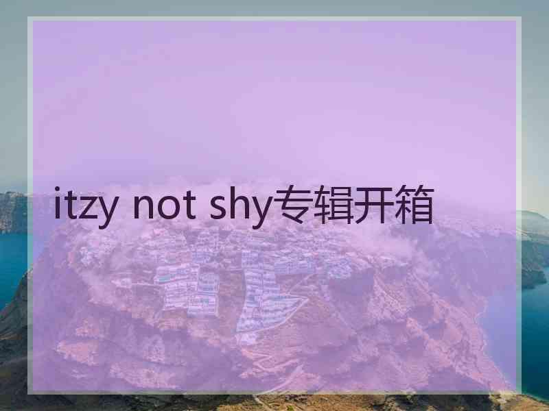 itzy not shy专辑开箱