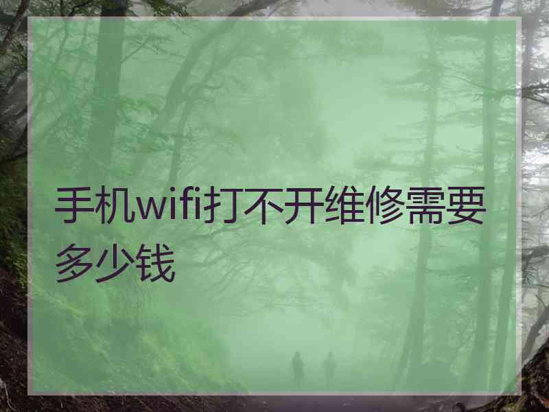 手机wifi打不开维修需要多少钱