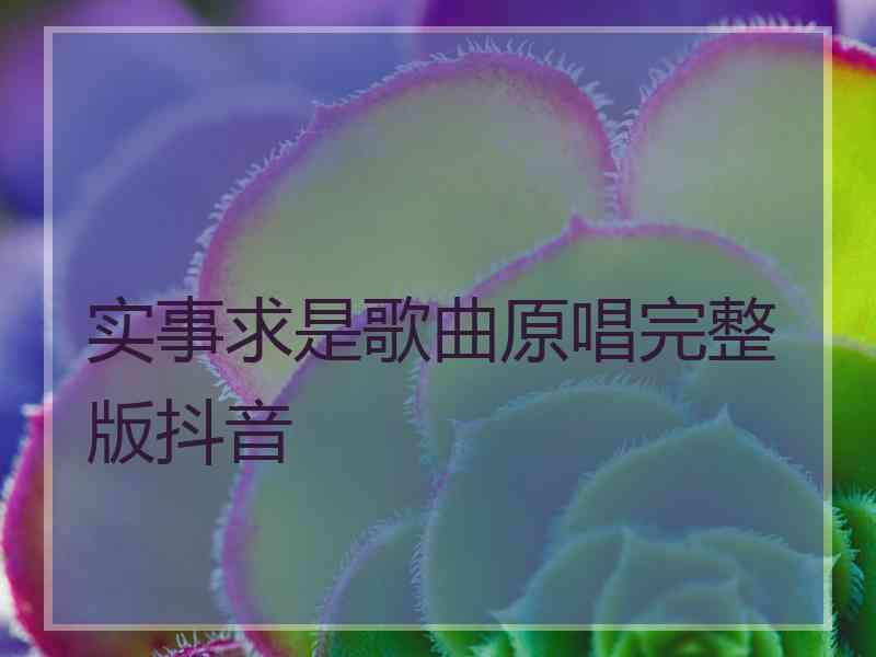 实事求是歌曲原唱完整版抖音