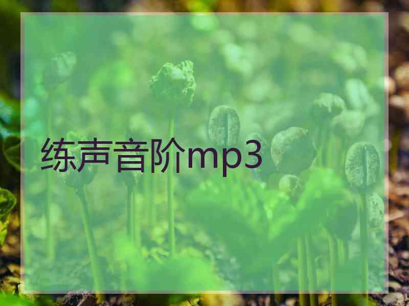 练声音阶mp3