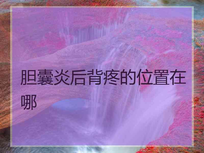 胆囊炎后背疼的位置在哪