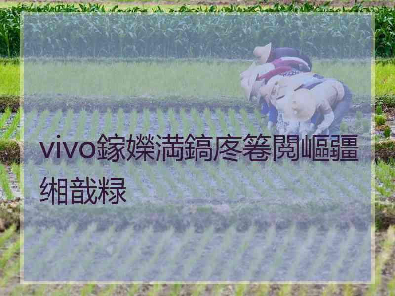 vivo鎵嬫満鎬庝箞閲嶇疆缃戠粶