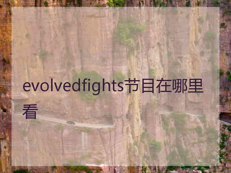 evolvedfights节目在哪里看