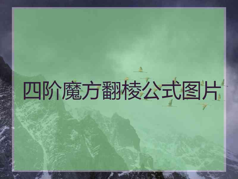 四阶魔方翻棱公式图片