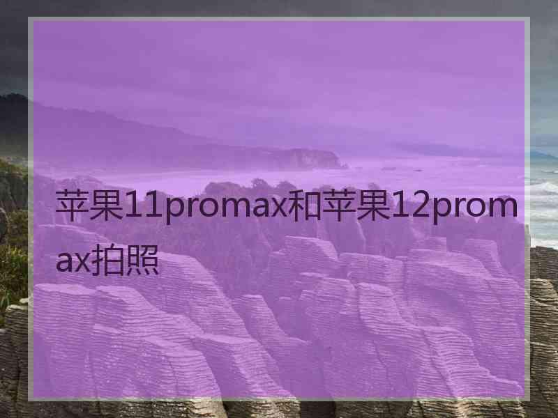 苹果11promax和苹果12promax拍照