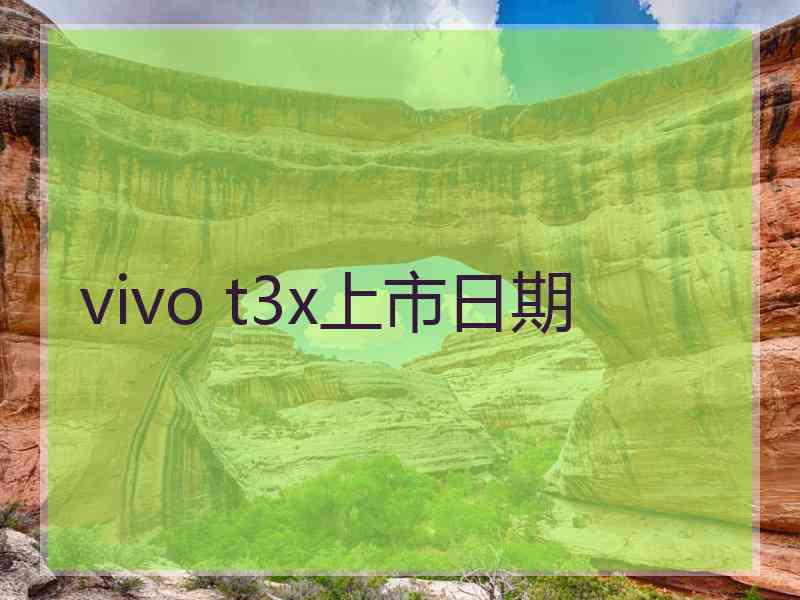 vivo t3x上市日期