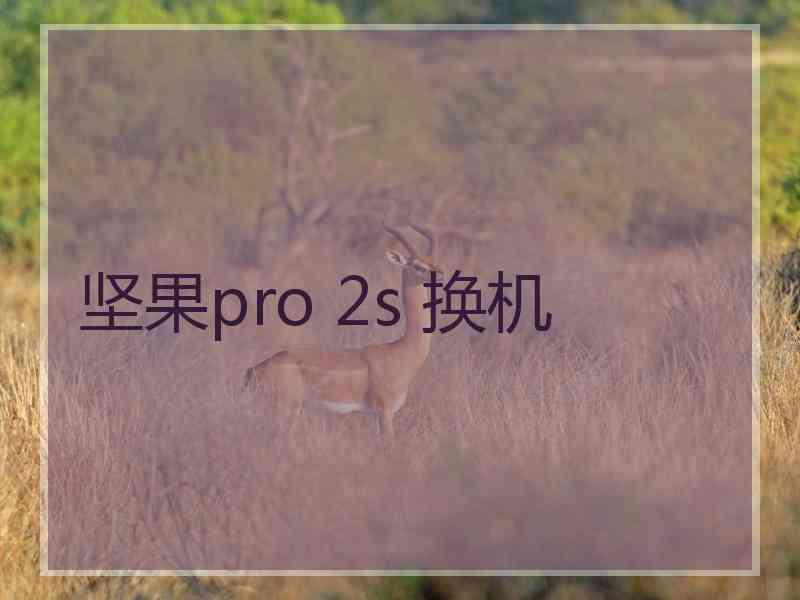 坚果pro 2s 换机