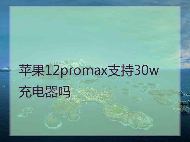 苹果12promax支持30w充电器吗