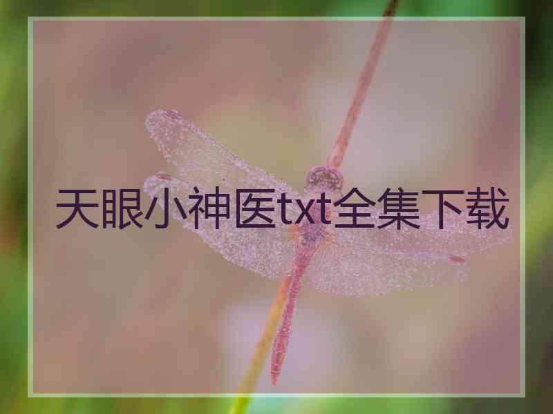 天眼小神医txt全集下载