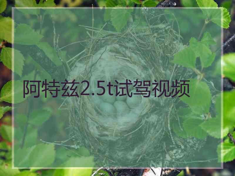 阿特兹2.5t试驾视频