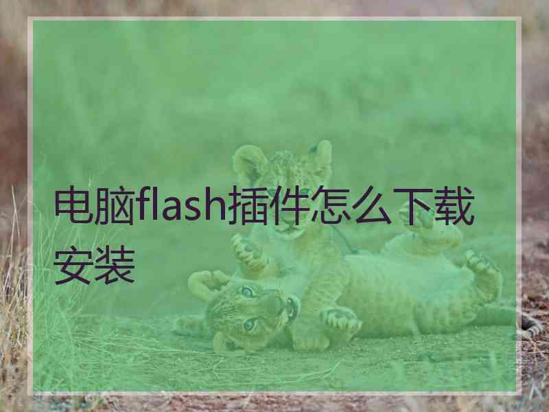 电脑flash插件怎么下载安装