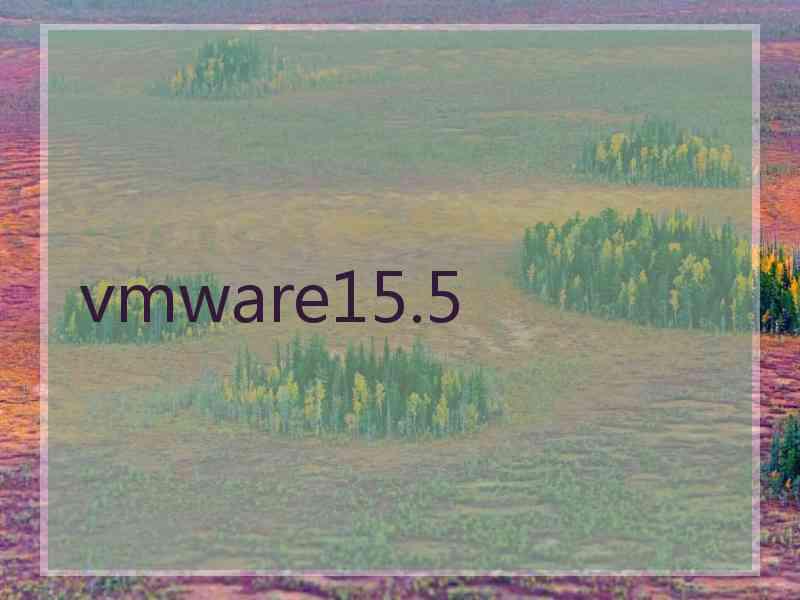 vmware15.5