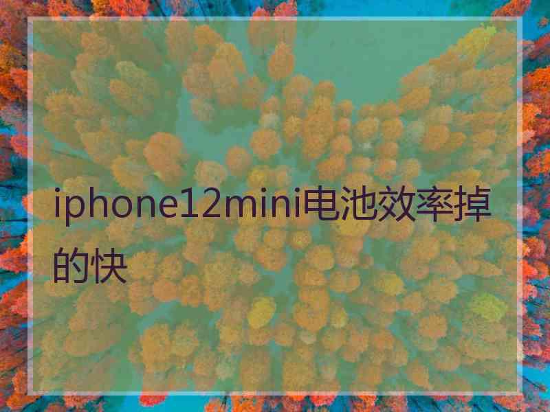 iphone12mini电池效率掉的快