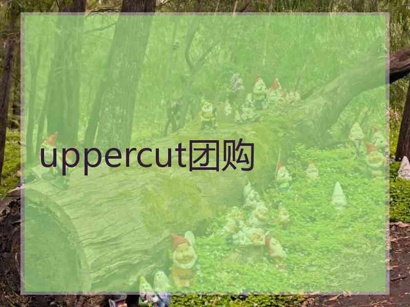 uppercut团购