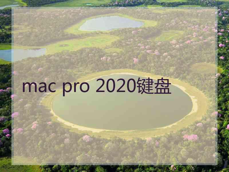 mac pro 2020键盘