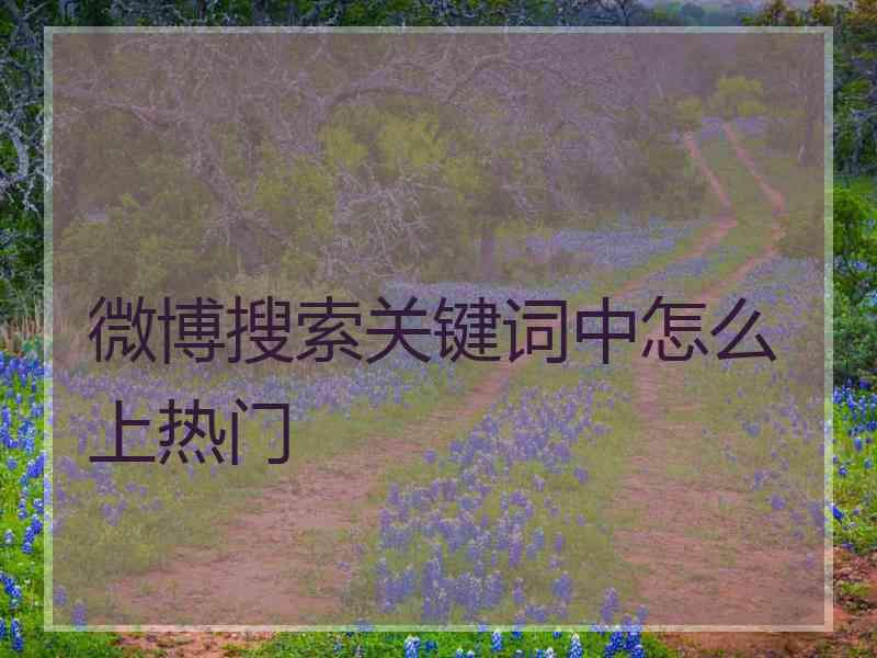 微博搜索关键词中怎么上热门