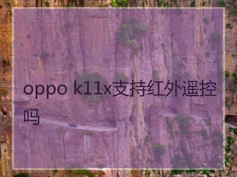 oppo k11x支持红外遥控吗