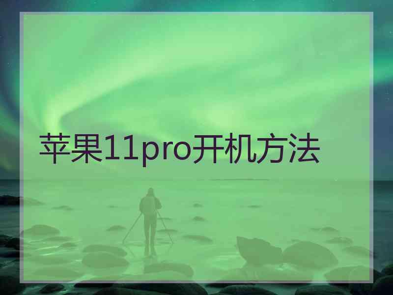 苹果11pro开机方法