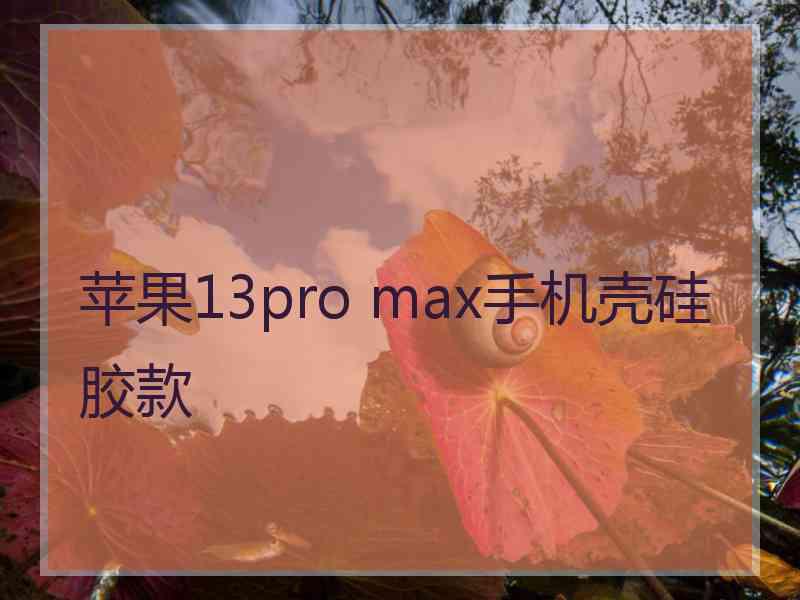 苹果13pro max手机壳硅胶款