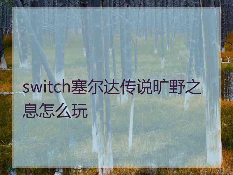 switch塞尔达传说旷野之息怎么玩