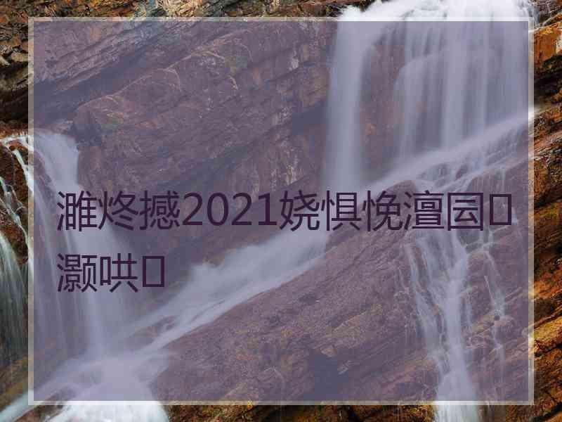 濉炵撼2021娆惧悗澶囩灏哄