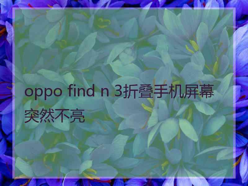 oppo find n 3折叠手机屏幕突然不亮