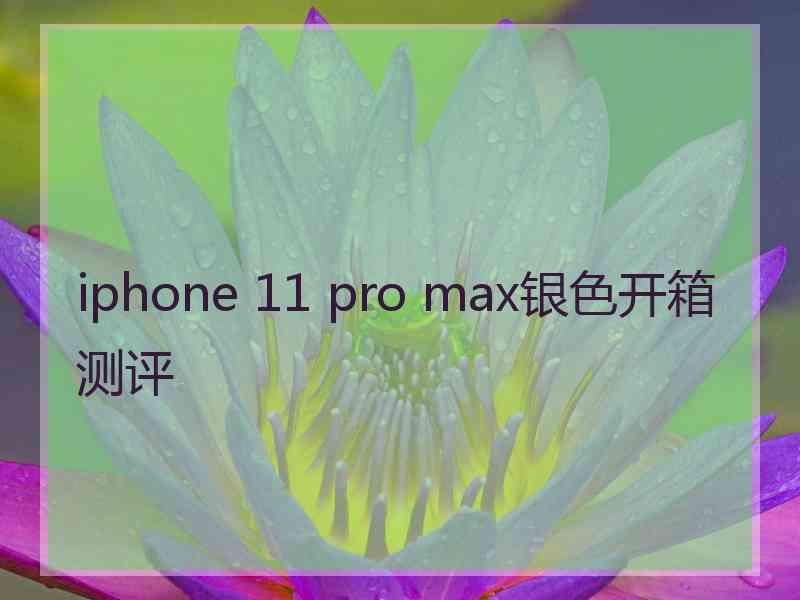 iphone 11 pro max银色开箱测评