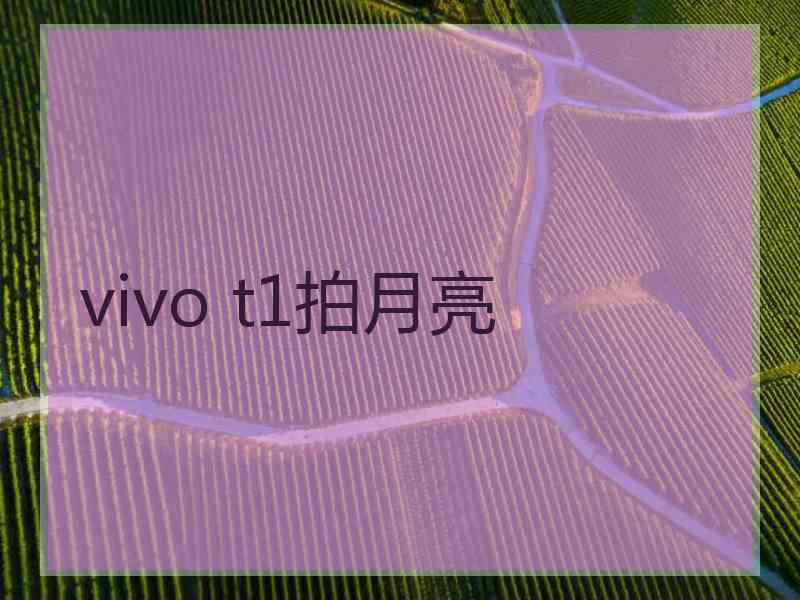 vivo t1拍月亮