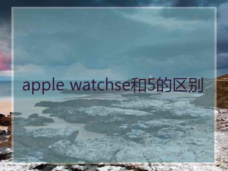 apple watchse和5的区别