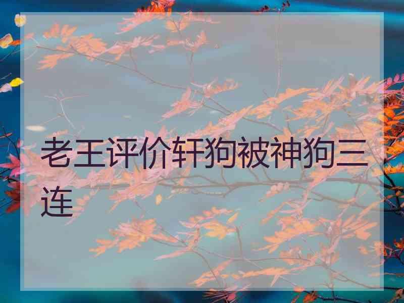 老王评价轩狗被神狗三连