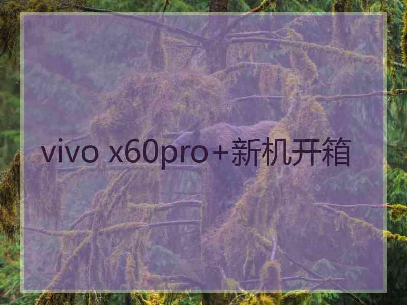 vivo x60pro+新机开箱