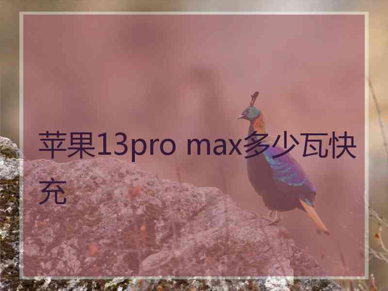 苹果13pro max多少瓦快充