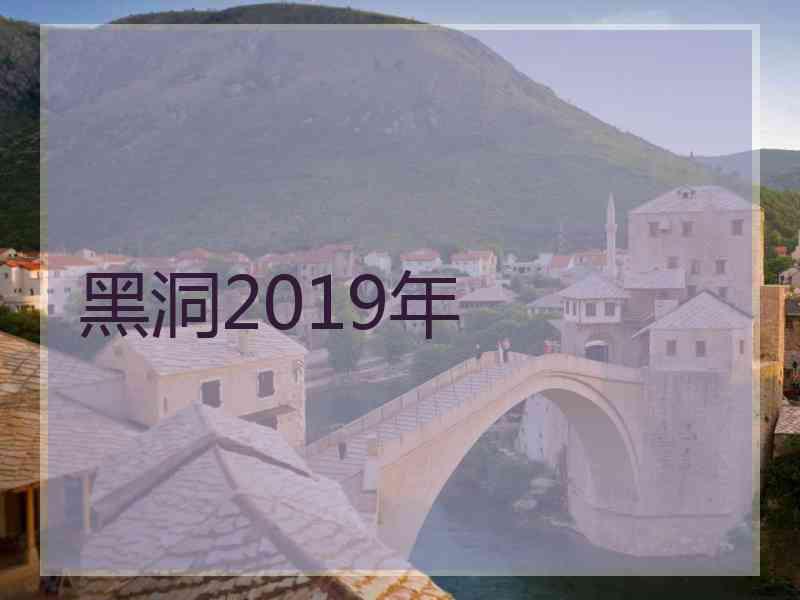 黑洞2019年