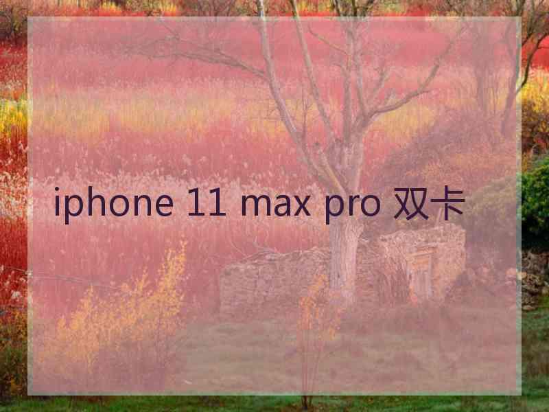 iphone 11 max pro 双卡